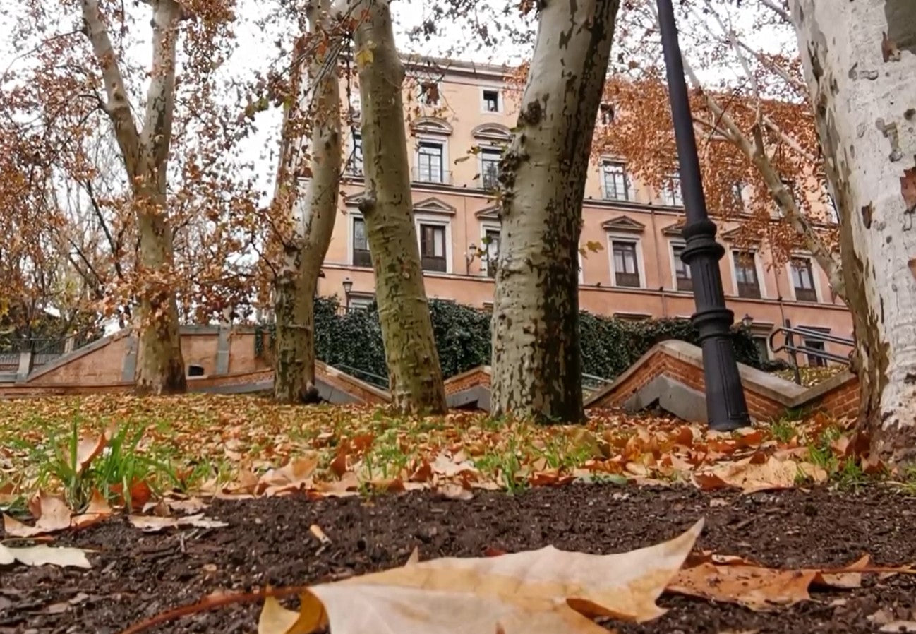 Otoño